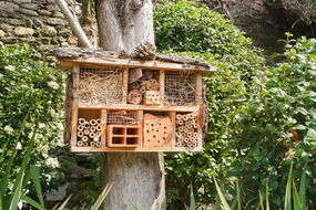 Ein fertiges Insektenhotel am Baum.