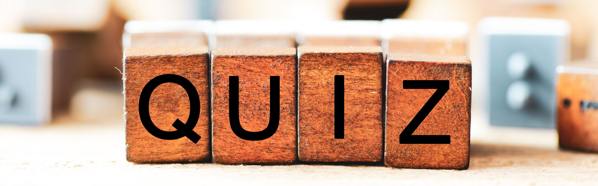 Quiz-Schriftzug auf Holzklötzen.